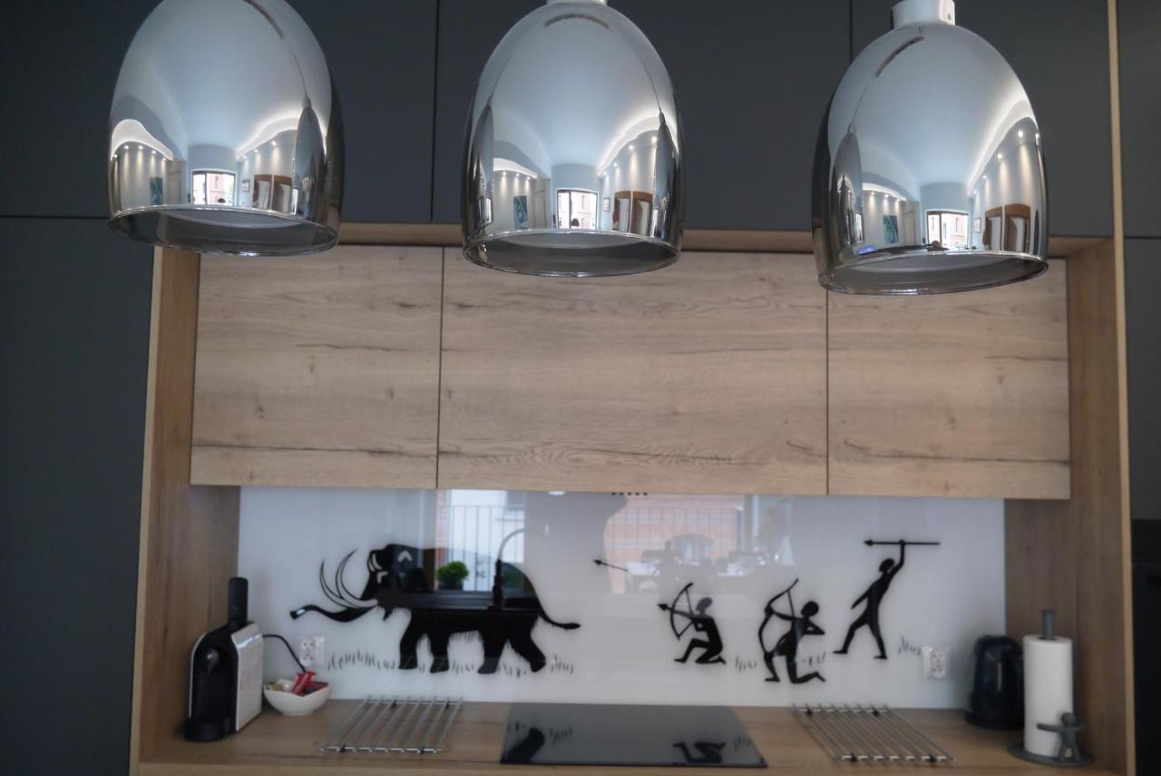 Nowy Apartament Zygmunta Premium Hlivice Exteriér fotografie