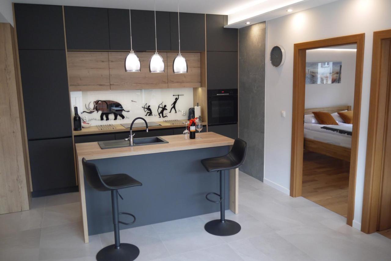Nowy Apartament Zygmunta Premium Hlivice Exteriér fotografie